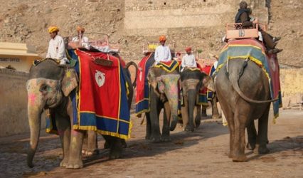 Incrediable rajasthan